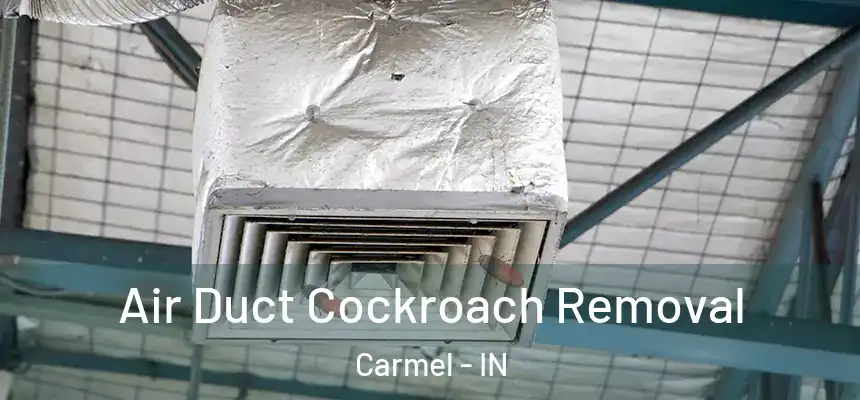 Air Duct Cockroach Removal Carmel - IN