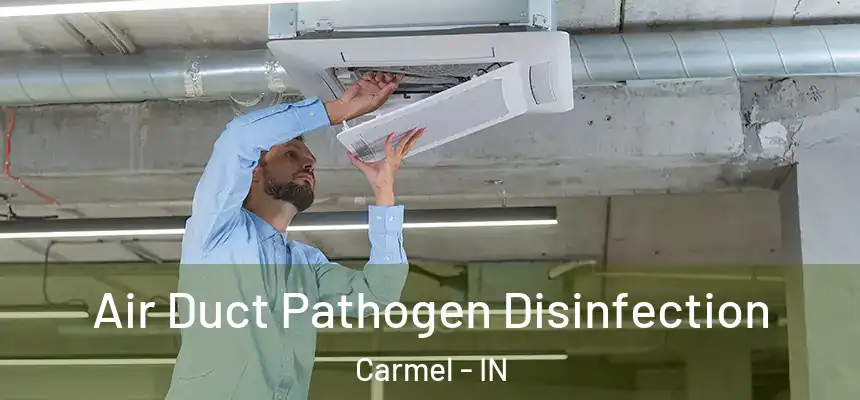  Air Duct Pathogen Disinfection Carmel - IN