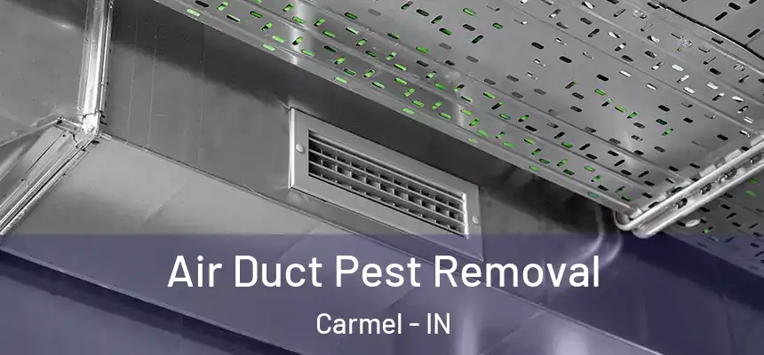  Air Duct Pest Removal Carmel - IN