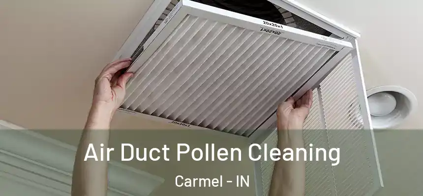  Air Duct Pollen Cleaning Carmel - IN