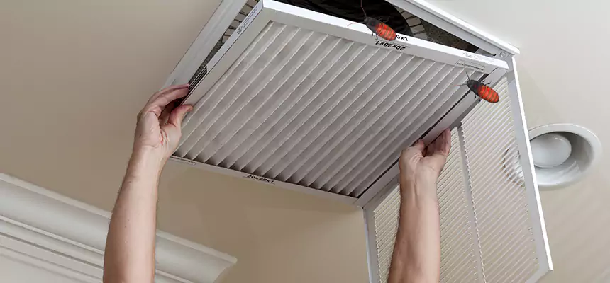 Preventive Cockroach-Proofing for Ducts in Carmel