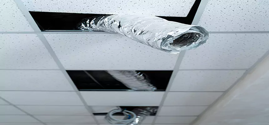 Affordable HVAC Sanitizing After Pest Removal in Carmel