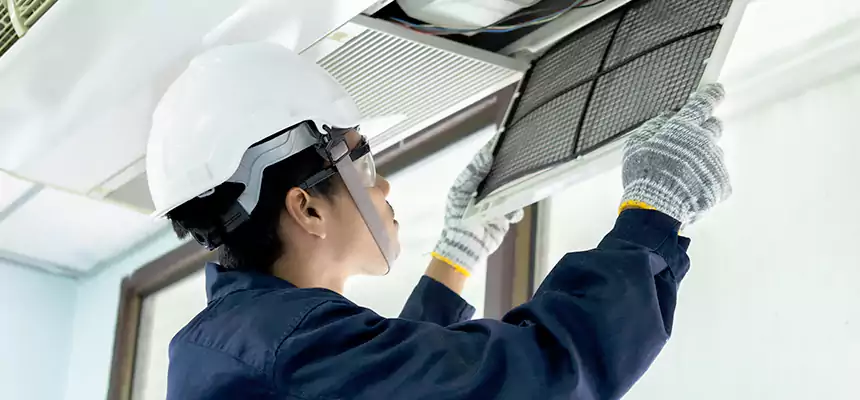 Our Mold & Mildew Removal from Air Ducts Services in Carmel, IN