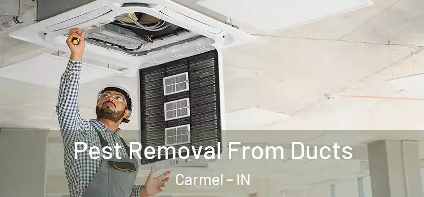  Pest Removal From Ducts Carmel - IN