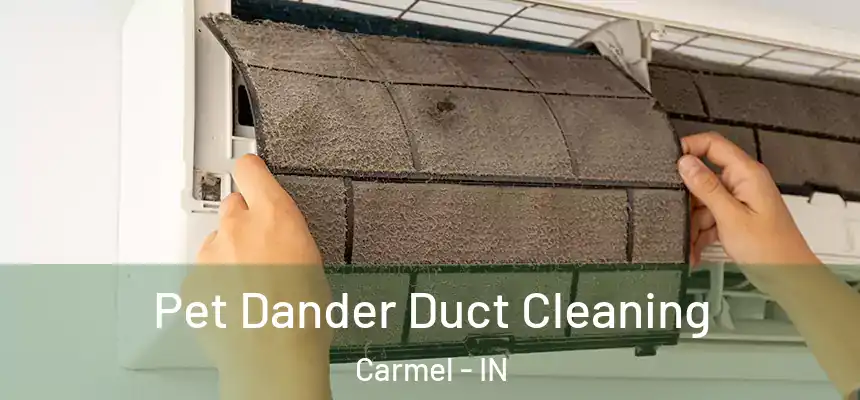 Pet Dander Duct Cleaning Carmel - IN