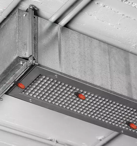 About Air Duct Cockroach Removal in Carmel, IN