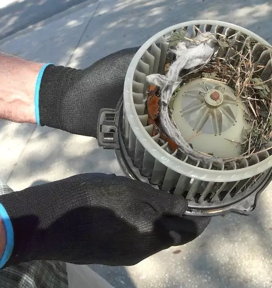 About Air Duct Rat Removal in Carmel, IN