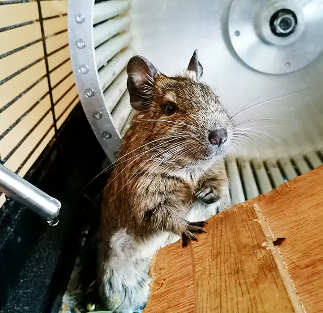 Why Homeowners & Businesses Trust Us Carmel, IN