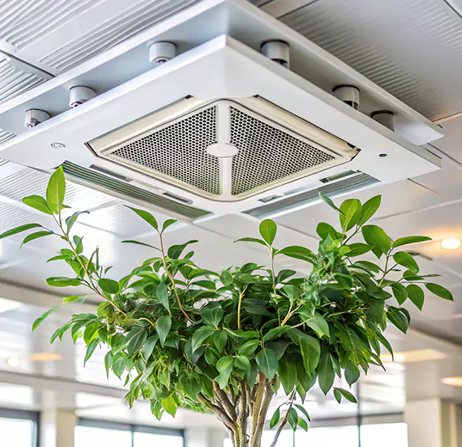 Why Homeowners & Businesses Trust Us in Carmel, IN