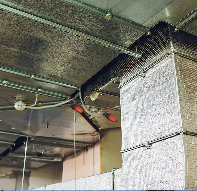 Why Homeowners & Businesses Trust Us Carmel, IN?