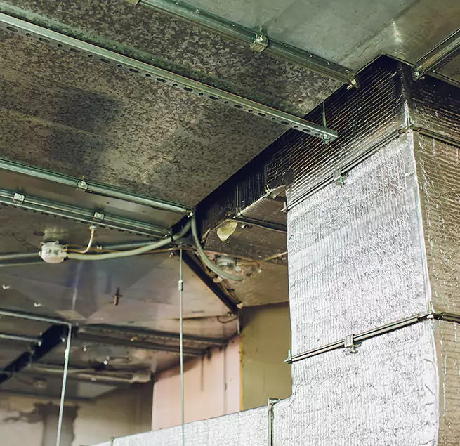 Why Homeowners & Businesses Trust Us in Carmel, IN?